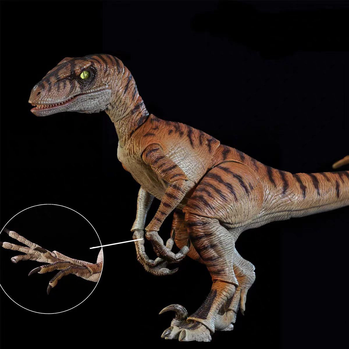 Brand-new NANMU Studio Jurassi - đánh giá và giá Model Kit Dinosaur Bandai