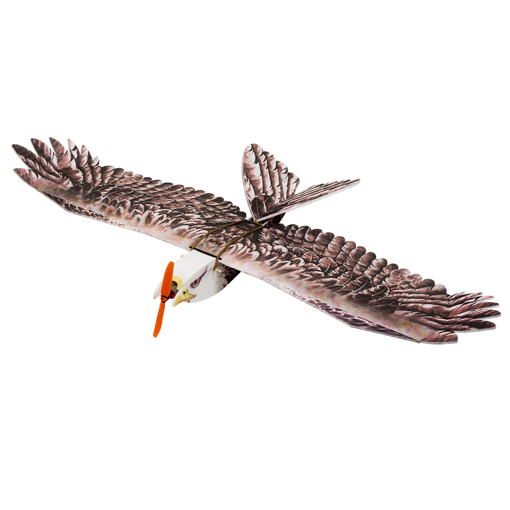 DW Hobby Eagle II EPP Airplane - đánh giá và giá Model Kit Expert