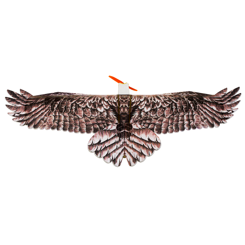DW Hobby Eagle II EPP Airplane - đánh giá và giá Model Kit Expert