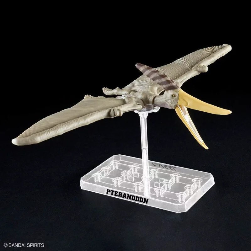 BANDAI PLANNOSAURUS Pteranodon - đánh giá và giá Model Kit Dinosaur Bandai