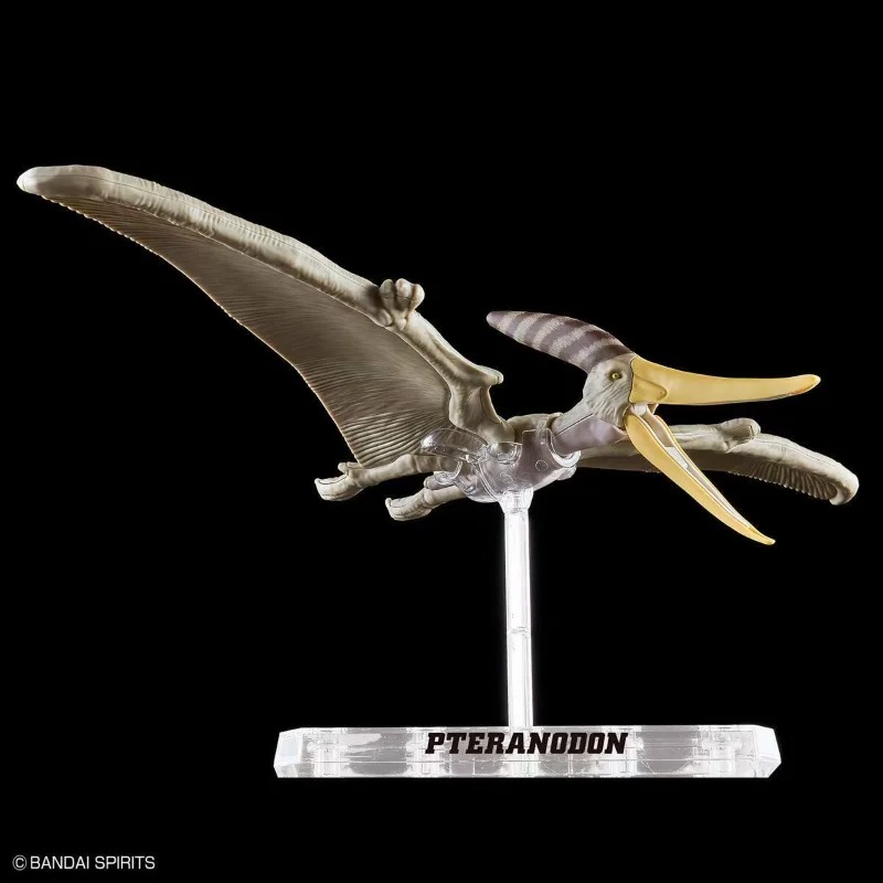 BANDAI PLANNOSAURUS Pteranodon - đánh giá và giá Model Kit Dinosaur Bandai